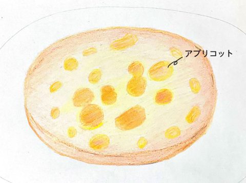 アプリコーゼンクーヘン