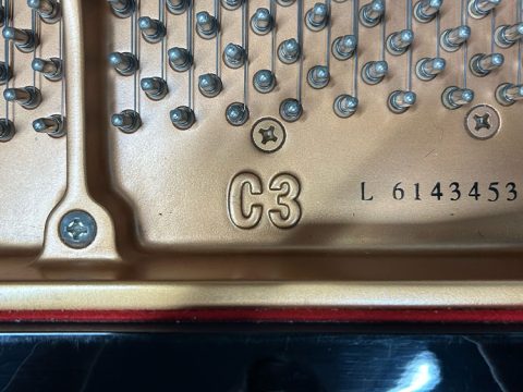 2025年2月のおしゃべり帖